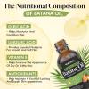 Batana Oil for Hair Growth Organics Pure Batana Hair Oil 100% Natural Batana Oil Nourishes Damaged Hair Natural Hair Growth Oil and Conditioner Batana Hair Oil 2.02 Fl Oz(2.03 Fl Oz (Pack of 1))