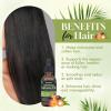 Batana Oil for Hair Growth Organics Pure Batana Hair Oil 100% Natural Batana Oil Nourishes Damaged Hair Natural Hair Growth Oil and Conditioner Batana Hair Oil 2.02 Fl Oz(2.03 Fl Oz (Pack of 1))